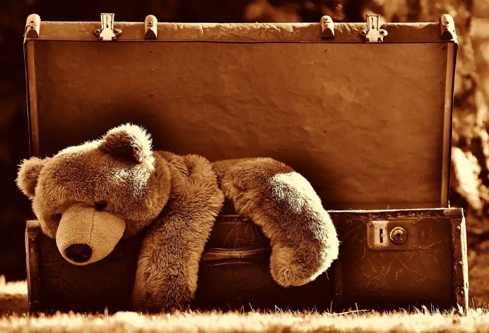 5 Benefits of Having a Teddy Bear
