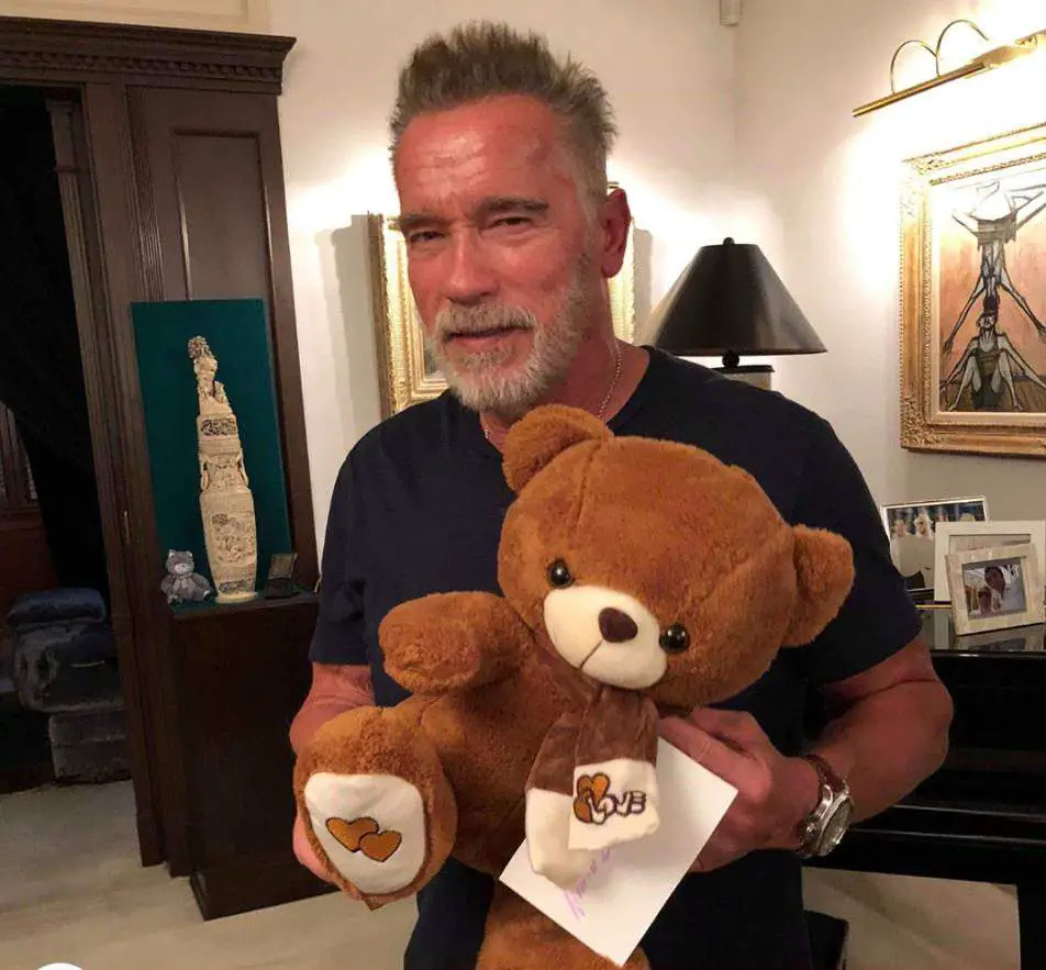 Teddy Bear Auctions: Where to Find Celebrity-Owned Collectibles
