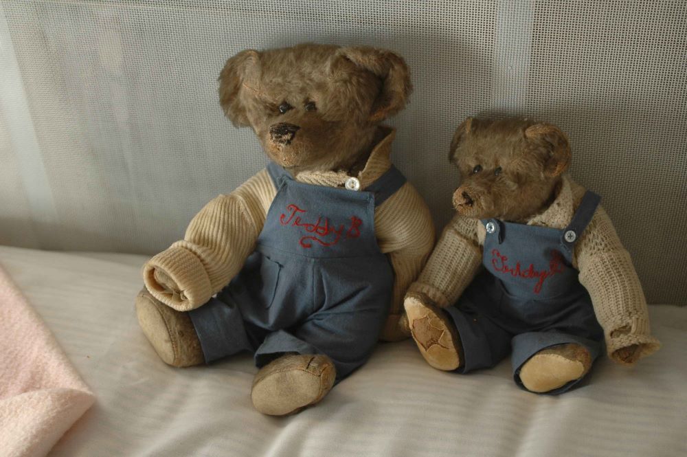 Ultimate Guide to Vintage Teddy Bear Identification: Tips and Tricks - Part 1