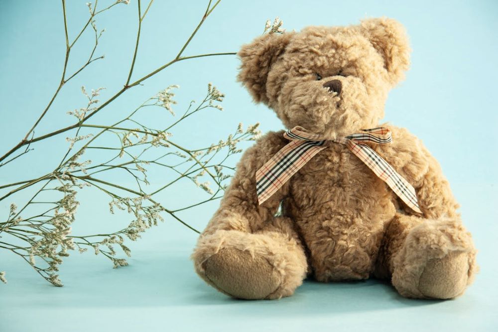 Top Tips on How to Sell Teddy Bears Online and Offline