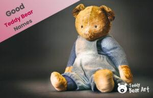 100 Good Teddy Bear Names: Thoughtful Ideas