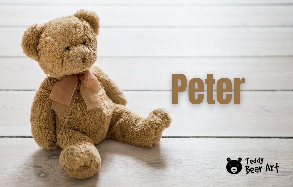100 Good Teddy Bear Names: Thoughtful Ideas