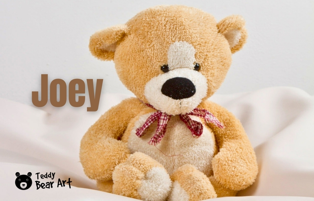 100 Good Teddy Bear Names: Thoughtful Ideas