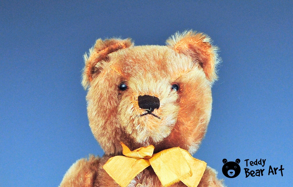 Teddy Bear Names List: A–Z Guide