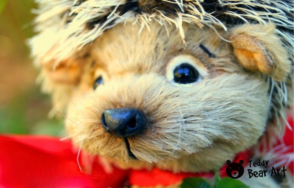 2 Free Hedgehog Plush Toy Patterns for Beginners and Advanced Sewers