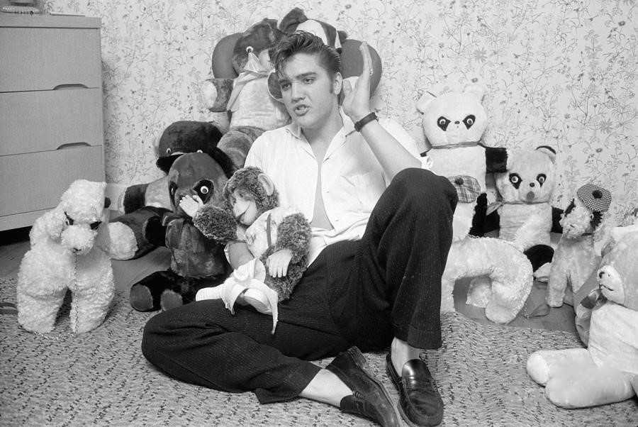 Teddy Bear Auctions: Where to Find Celebrity-Owned Collectibles