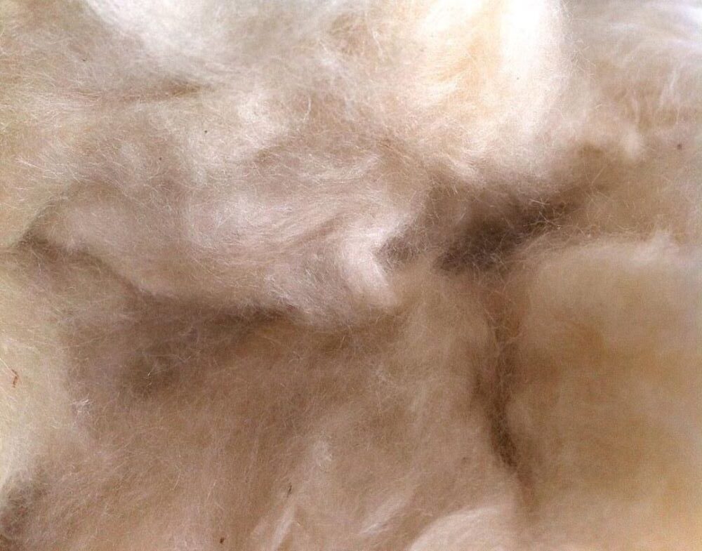Top 10 Options of the Teddy Bear Stuffing Material: the Comprehensive Guide