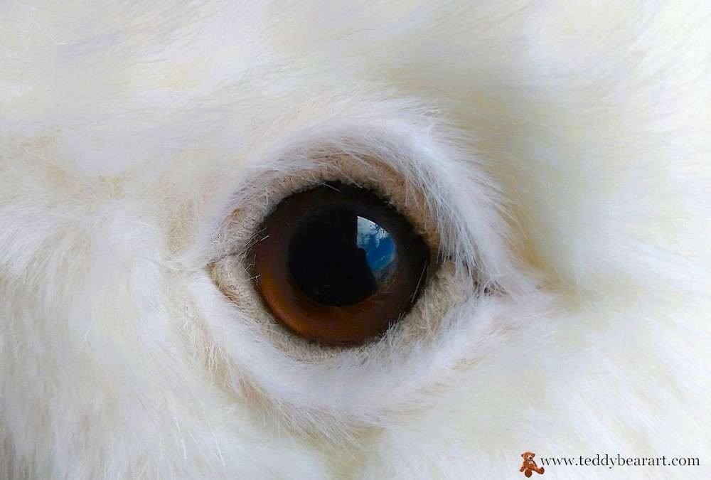 How To Make Teddy Bear Eyelids: Advanced Techniques Included