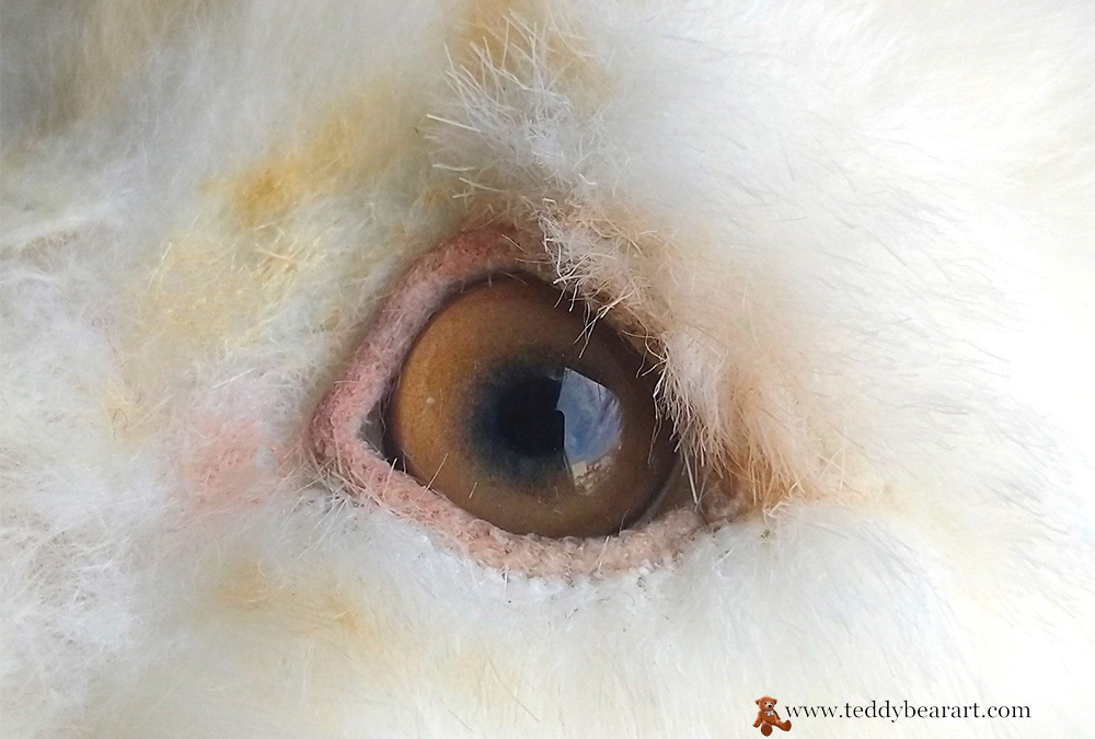 How To Make Teddy Bear Eyelids: Advanced Techniques Included