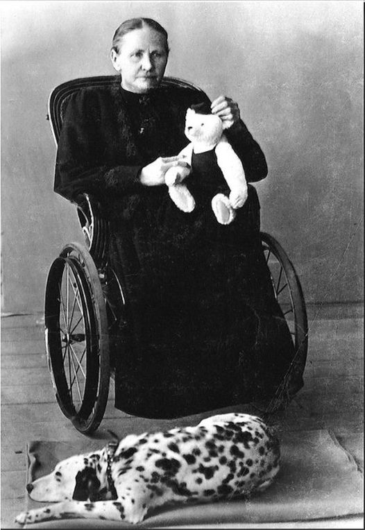 The History of Teddy Bears From Roosevelt to Steiff